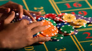 ovibet